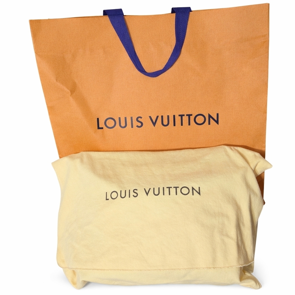 Louis Vuitton Limited Edition Triangle Softy Reverse Monogram - Picture 4 of 16